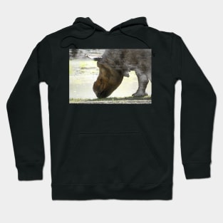 Rhino - portrait Hoodie